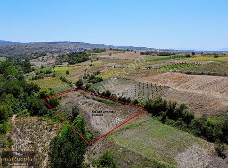 Bursa Yenişehir Yazılı Mahallesi'nde Satılık Tarla