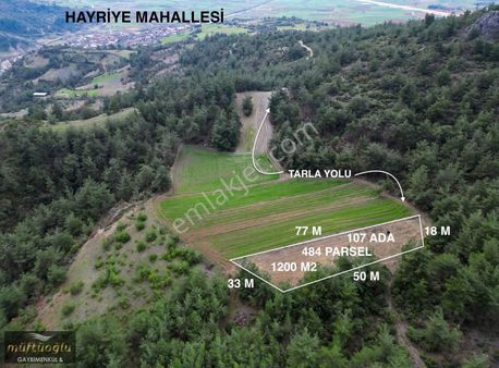 Bursa Yenişehir Hayriye Mahallesin'de Satılık Tarla