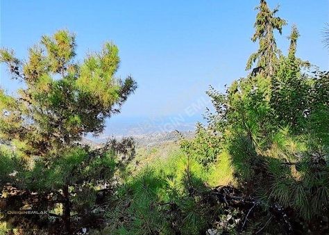 Yola Cepheli Müstakil Tapulu Ev Yapımına Uygun