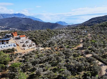 Yeşilköy'de Müstakil Tapu