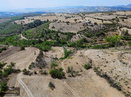 Bursa Yenişehir Terziler Mahallesi Satılık Tarla