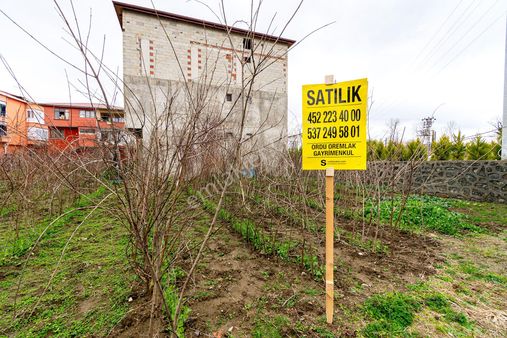 Ordu Perşembe Efirli’de 202m² Satılık Tek Tapu İmarlı Arsa
