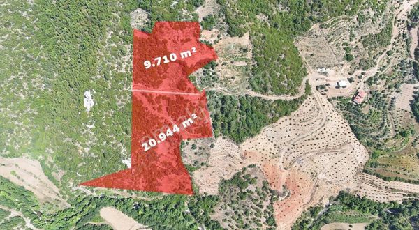 Doğanca Mahallesinde Satılık Tarla