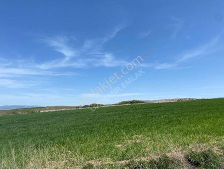 Özdemir Emlak Ta Kıbrıs Köyün De Net 1 Daire Getirili 185m2 Arsa