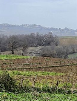 Kandıra Yatırım İçin İdeal Fırsat: Satılık 1089m² Tarla!