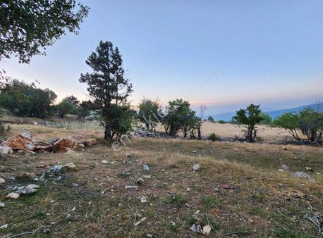 Yayla Kıncılar Örtülü Mevkisinde 1800 M2 Tarla