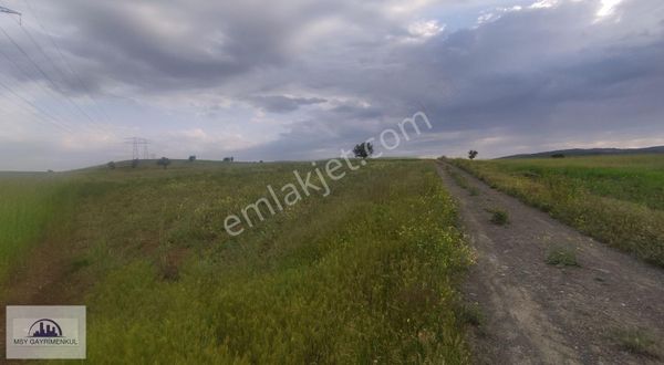 Burdur Tefenni Beyköy De Satılık 6.813 M2 Tarlamız Satılıktır.