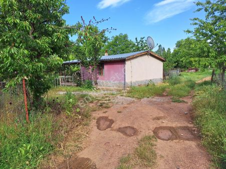 Konya Beyşehir Üzümlü Mah. Hazır Bahçe Ve Ev Ceylanlar Emlaktan Satılık