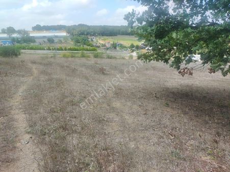 Kurtköy Sanayii De Müstakil Parsel