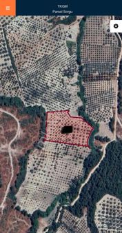 Manisa Akhisar Sabancılar Mahallesinde Satılık Zeytinlik