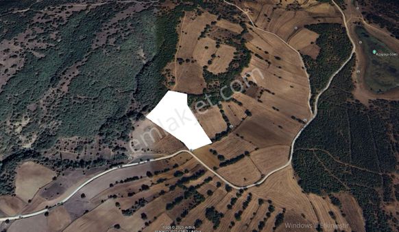 Bilecik Söğüt Rızapaşa Köyünde Satılık 15 Dönüm Tarla