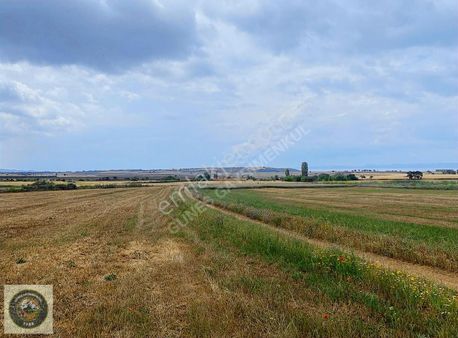 Gelibolu Bolayırda Satılık 700 M2 Tarla