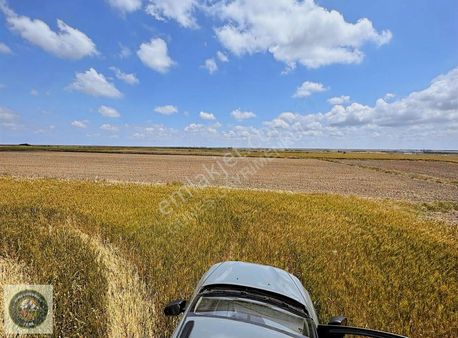 Tekirdağ Sarayda Güzel Konumda 510m2 Tarla