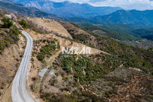 Alanya Şıhlar'da 4.546 M² Satılık Tarla