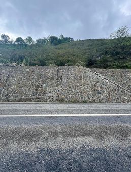 İnanç Primedan Uzkara Köyünde Satılık 4656 M2 Fındık Bahçesi