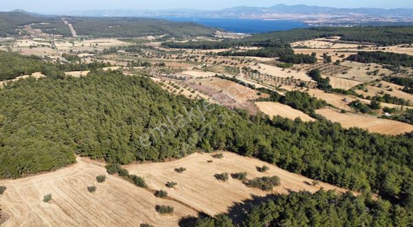 Bigalı Köyüne Yakın Müstakil Tapulu