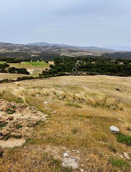 Yunus Tan Kula Hayallı Da Satılık Tarla