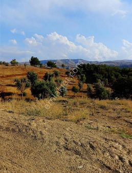 Hadim De Satılık 7670 M2 Tarla I