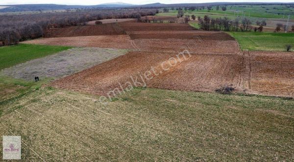 Real Estate Çatalca'dan Fırsat Poyralı Satılık Tarla