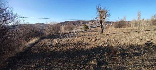 Çameli Cumaalanında 1160 M2 Asfalta Sıfır Yerleşime 100 Mt Tarla