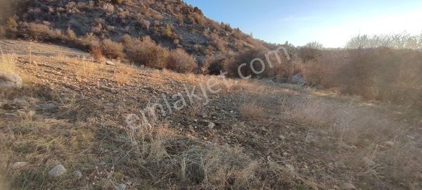 Çameli Güzelyurtta Harika Manzaralı 2920 M2 Yola Olan Tarla