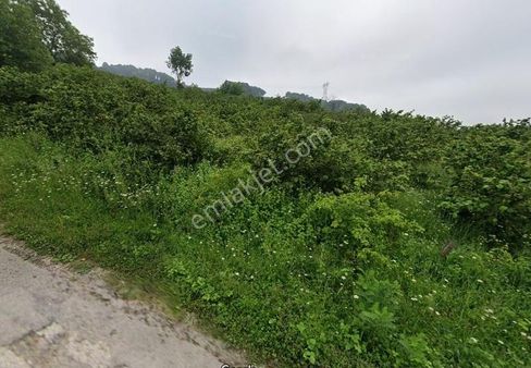 Düzce Nasırlı Da Yerleşik Alan İçinde Satılık Arsa