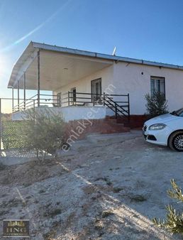 Yukarı Arılda Satlık Bağevi Arazi