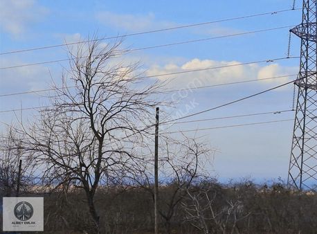 Alibey'den Terme Cılar'da Satılık 8.250m2 Manzaralı Fındıklık