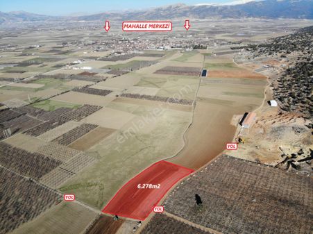 Antalya Elmalı Tekke Mahalle Merkezine Yakın Kadastrol Yola Cephe 6.278m2 Satılık Tarla