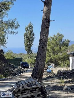 Kaş Kalkan'da 8500 M2 Arazide Natamam 6 Villa Ve 1 Ev