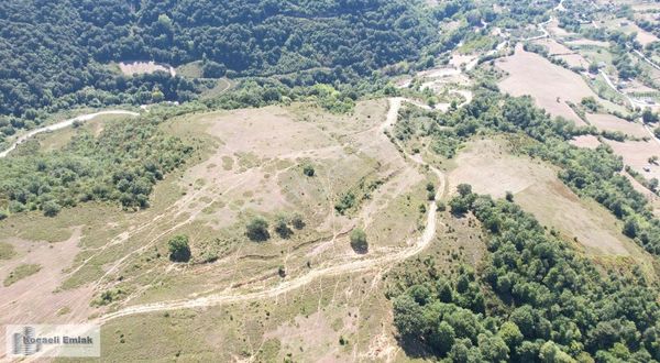 Karamürsel Avcıköy Mahallesi 3.641 M² Satılık Tarla