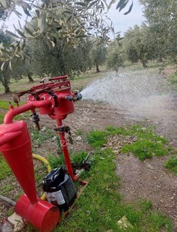 Efendi Mahallesi Karasonya Asfalta Sıfır Konumda Süper Zeytinlik