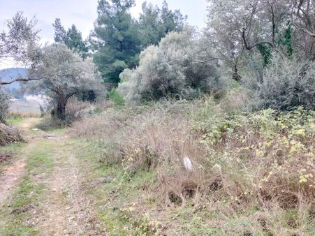 Dağ Ve Deniz Manzarali Köşe Parsel