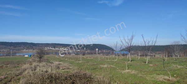 Doğancı'da Satılık Yatırımlık Arazi Dialog Baki