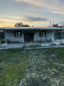 Geb Gayrimenkul’den Kepenekli De 3767m2 Zeytinlik + Ev