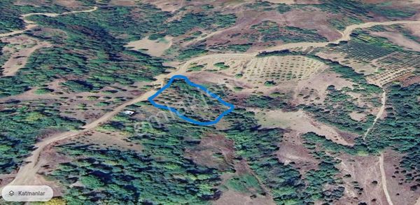 İnegöl Çayyaka Köyünde Satılık Meyve Bahçesi Kestane Cevizlik