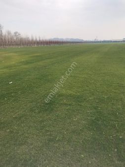 Arifiye Çevre Yolu Cepheli Yatırımlık Tarla