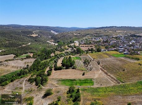 Bursa Yenişehir Çiçeközü Mahallesi'nde Satılık Tarla