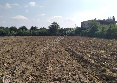 Beste'den K. Yüzgeç Bul. Bey Mah. Ana Yola Yakın 1050 M2 İmarlı Satılık Arsa