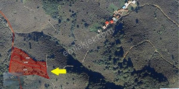 Erha Gayrimenkul Çağlandere Köyü 10 Dönüm Satılık Fındık Bahçesi