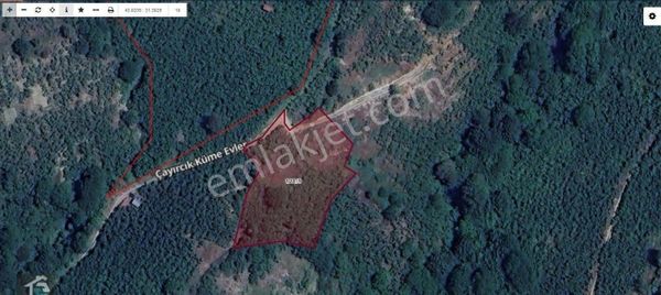 Canbulattan Yığılca Kırıkta Satılık 2.651 M² Fındık Bahçesi