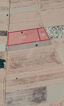 Karapınarda 2 Tarafı Yol Kitap Gibi 17.8 Dönüm Tarla