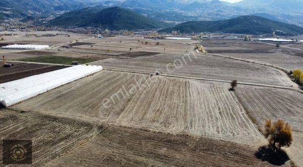 Seydikemer Sekide 4 Dönüm Tek Tapu Sulak Verimli Arazi