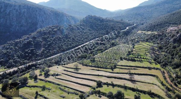 Seydikemer Dodurga Mah.1780 M2 Satılık Kupon Arazi