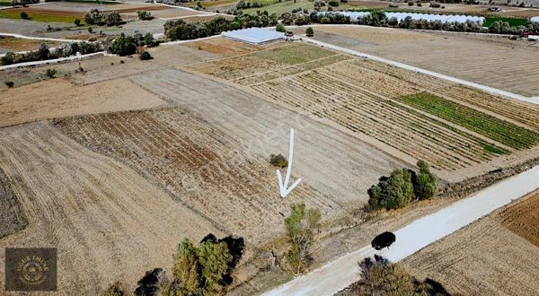 Uğurdan Yaylaceylanda 4.155 M2 Tek Tapu Fırsat Yatırımlık Arazi