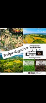 Edirne Meşeli De Tek Tapu