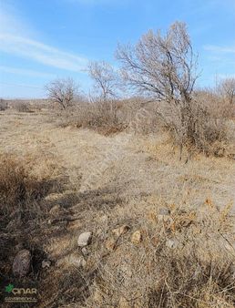 Çınar Gayrimenkulden Elektrik Su Yolu Yanında Kaçmaz Bağ