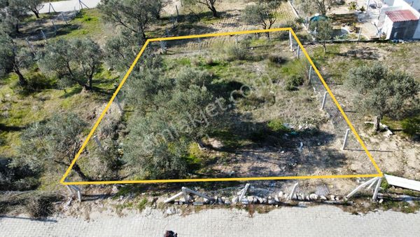 Yazıbaşı Mah Site Tadında Satılık 320m2 Manzaralı Bahçe