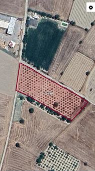 2 Tarafı Yol..içinde Armut Ağaçlarının Olduğu 7.3 Dönüm Karapınarda Tarla...