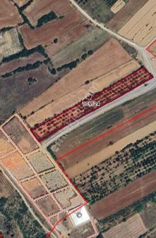 Özçelebi'den Satılık 9240 M² Meyve Bahçesi